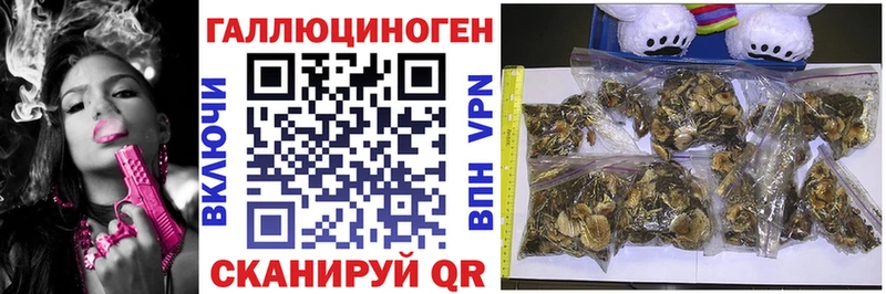 Купить закладки Обоянь Псилоцибиновые грибы MAGIC MUSHROOMS