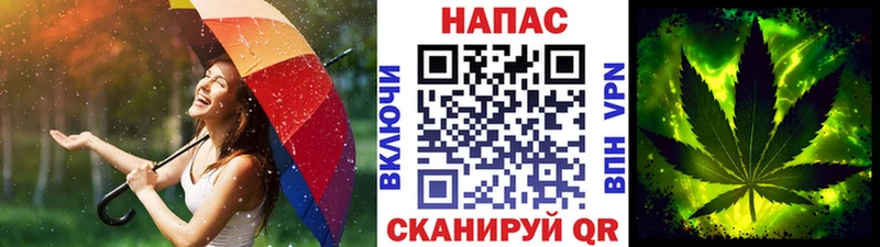Купить  Обоянь  Бошки марихуана гибрид 